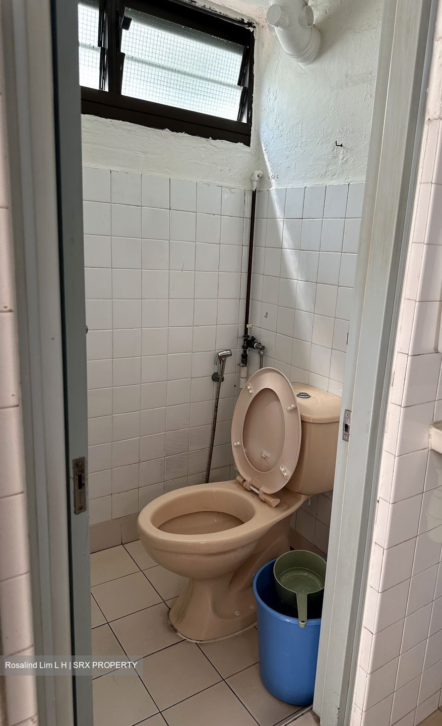Blk 13 Holland Vista (Queenstown), HDB 3 Rooms #410869571